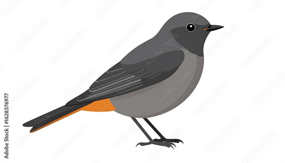 Obraz premium Illustration of a bird