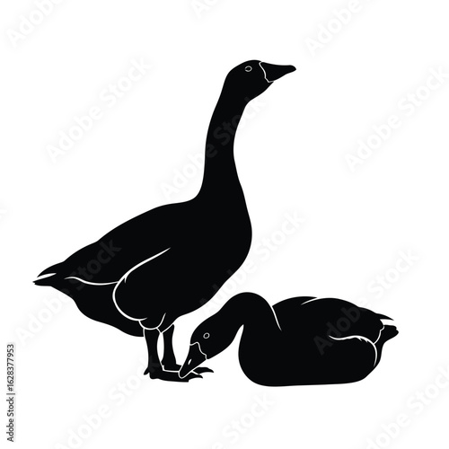 Two geese silhouettes one standing one resting birds waterfowl Vector illustration of