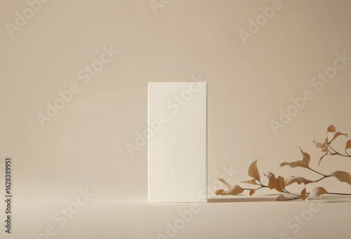 Packaging Mockup