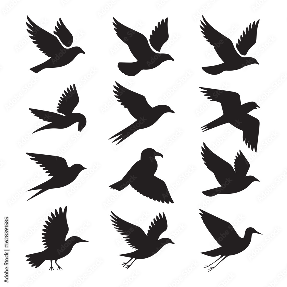 Fototapeta premium Vector art of a collection of black bird silhouettes in various flying poses, isolated on a white background Vector Art
