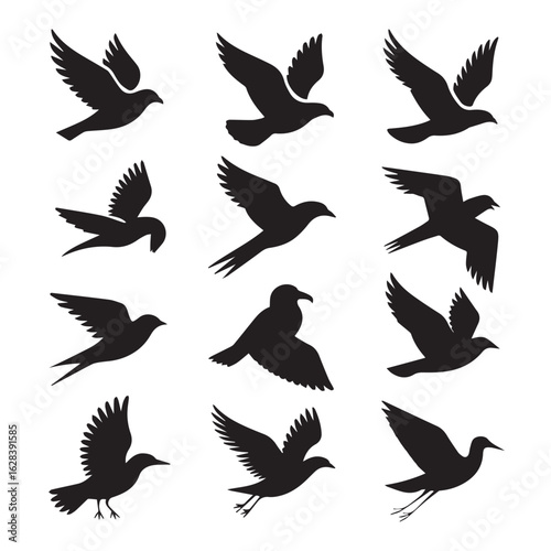 Vector art of a collection of black bird silhouettes in various flying poses, isolated on a white background Vector Art