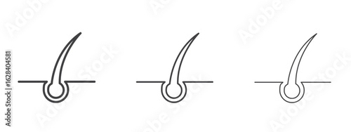 Hair icon in linear, outline icon isolated on white background