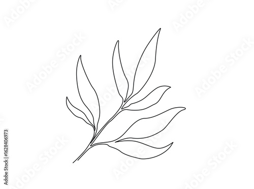 Bamboo Leaves in single outline illustration. Continuous line art drawing of bamboo leaf.