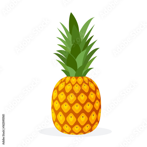 Adobe Illustrator Artwork