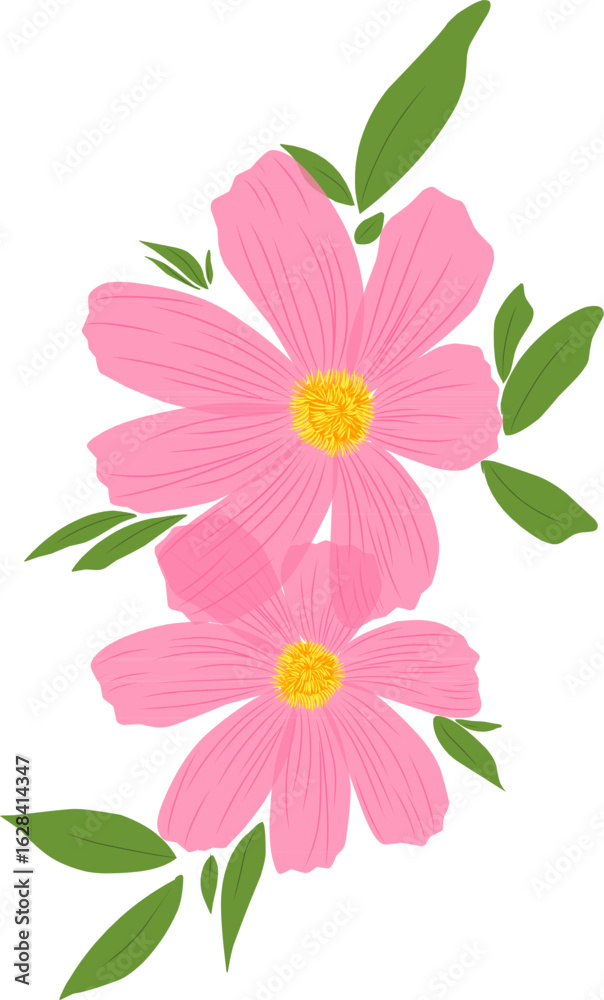 Obraz premium Two Pink Cosmos Flowers with Leaves