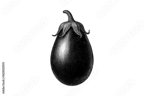 Detailed vintage eggplant engraving for kitchen and garden design projects