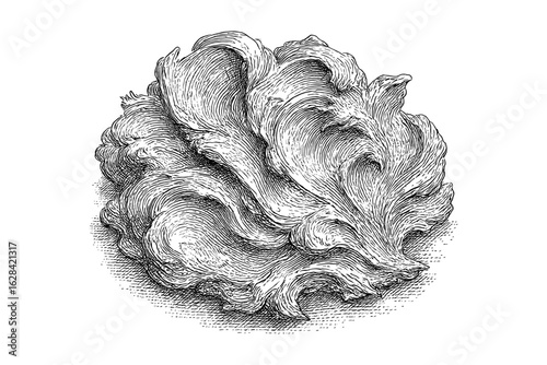 Intricate black and white hand-drawn mushroom illustration