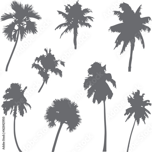 Palm Tree Silhouettes Set in Black on White