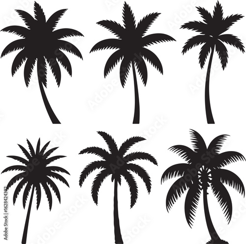 Palm Tree Silhouettes Set in Black on White
