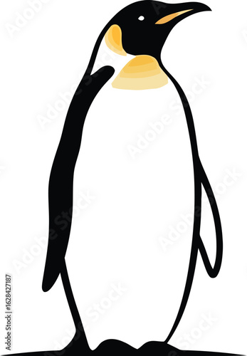 Emperor penguin illustration on a white background, logo design