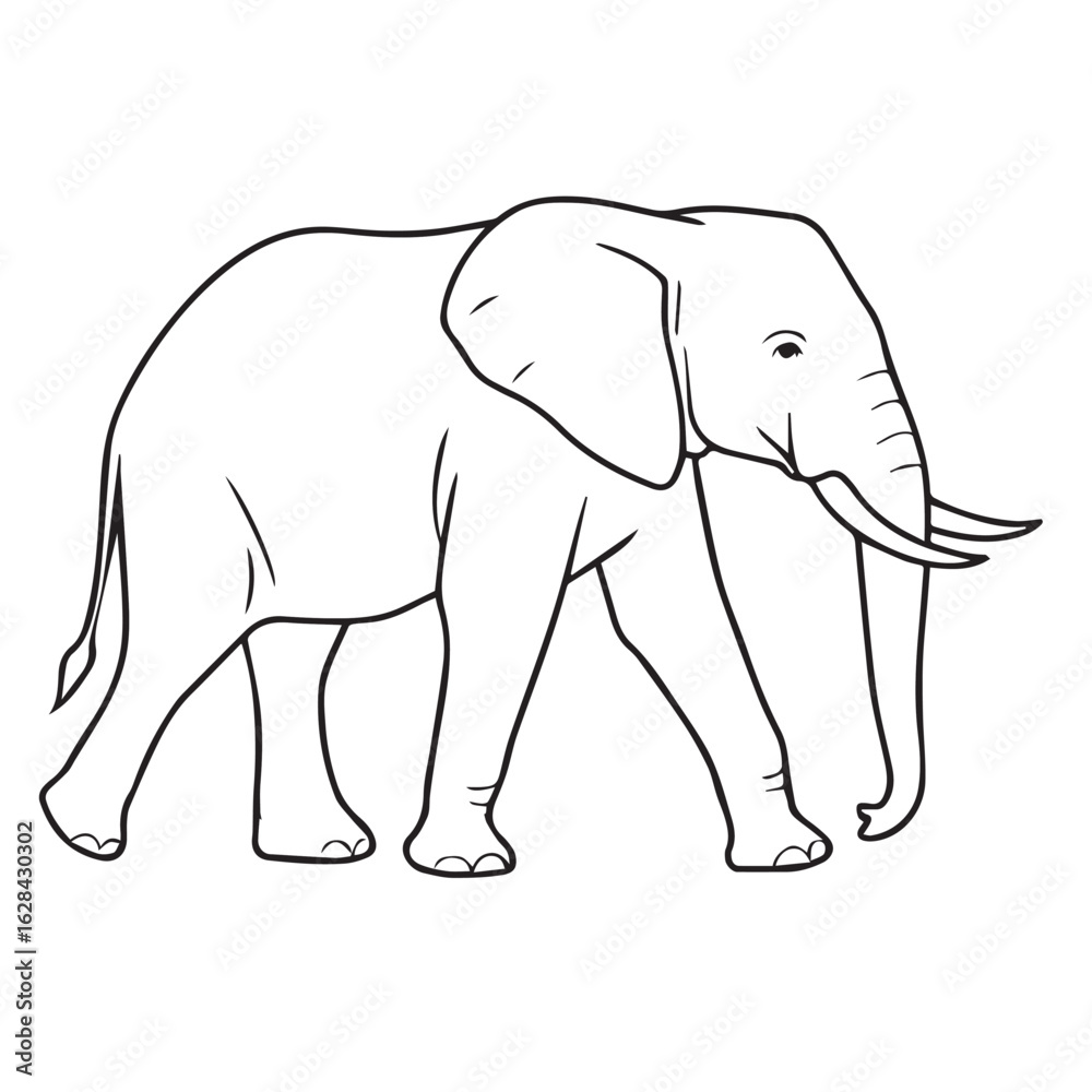 Fototapeta premium Walking Elephant Outline Illustration