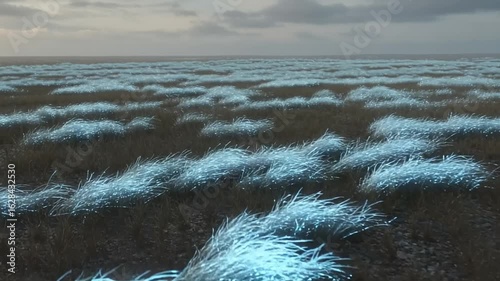 Illuminated grass field under cloudy sky at dusk