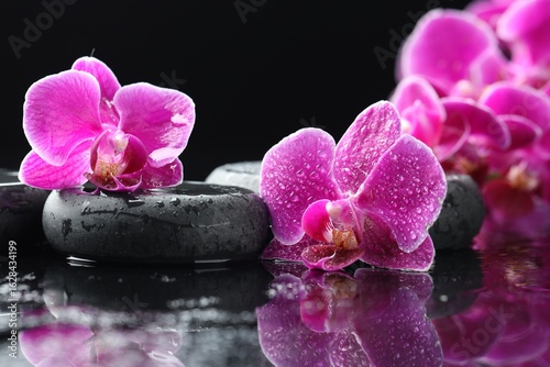 Beautiful orchid flowers with water drops and spa stones on mirror surface against black background, closeup