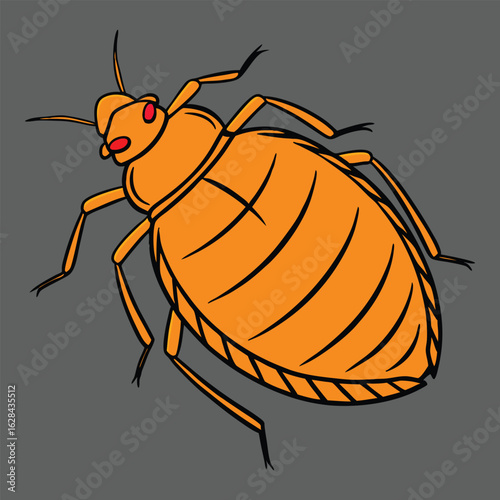 Bedbug vector