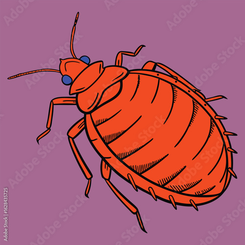 Set of enlarged bed bugs