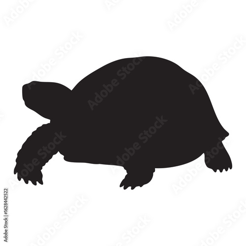 Black silhouette of a tortoise walking