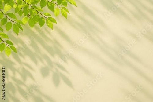 A Study in Light and Shadow on a Textured Beige Background