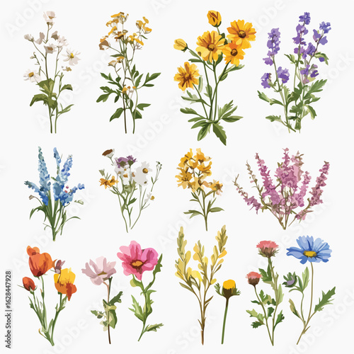 Grunge oil painted wildflowers collection