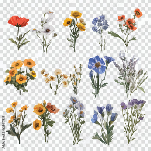 Grunge oil painted wildflowers collection