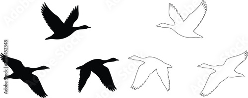 Silhouettes and outlines of flying ducks birds migration