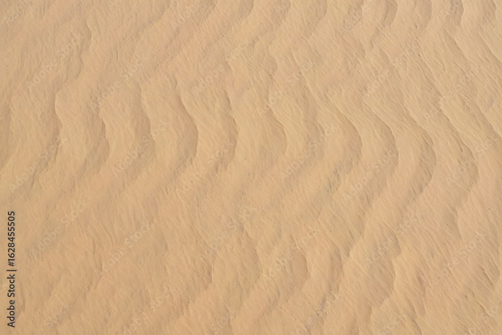 Naklejka premium A tranquil scene of rippled sand dunes with wavy patterns. Abstract natural texture from a desert landscape, ideal for a background.