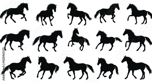 Collection of black horse silhouettes in various dynamic poses, perfect for equestrian designs and graphic resources.