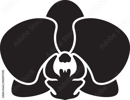 orchid flower isolated silhouette art illustration design stock photos royalty free image premium quality