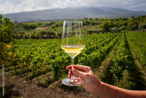 Fotografía Tasting Etna DOC white wine in a vineyard on the volcanic slopes of Mount Etna, Sicily