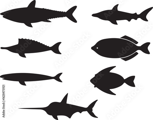 Ocean fish species silhouette graphic set