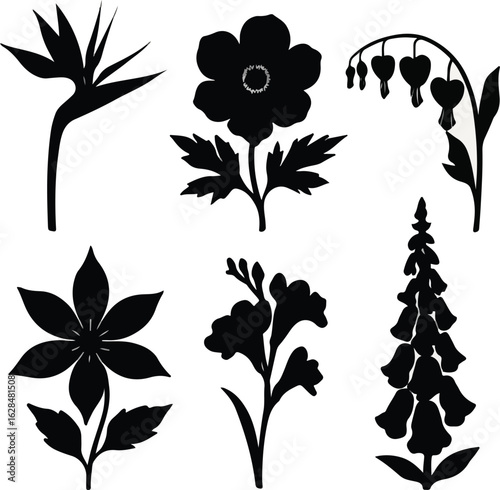 Exotic & Wild Flower Silhouette Set – 6 Solid Black Vector Icons of Bird of Paradise, Anemone, Bleeding Heart, Clematis, Freesia, and Foxglove.