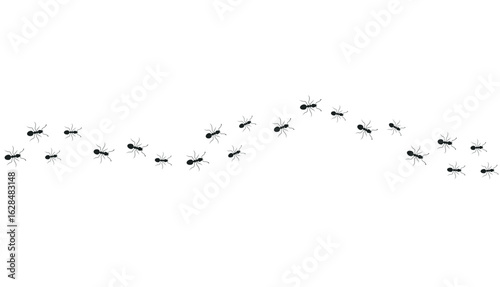 Colony of ants design element