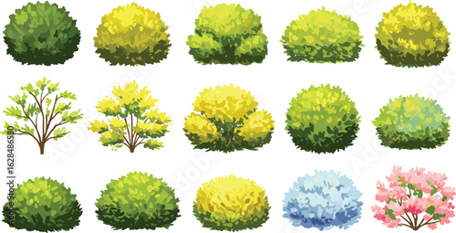Green and yellow bushes vector set, garden shrubs illustration, colorful ornamental plants collection, nature foliage clipart, landscaping botanical element graphics
