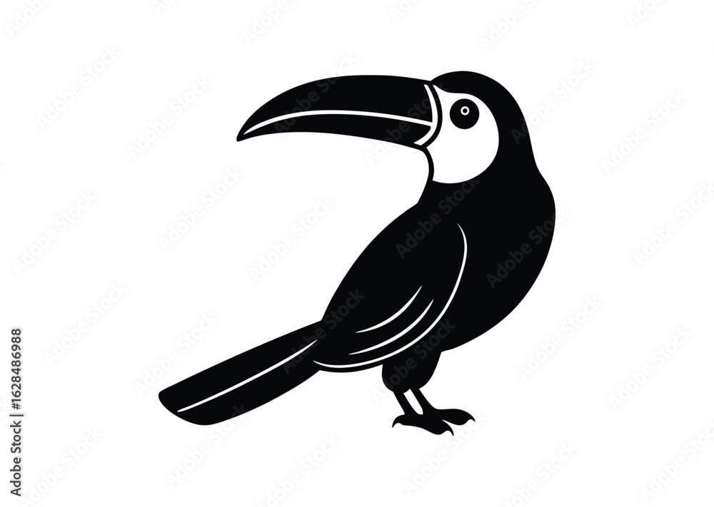 Fototapeta premium Toucan bird silhouette black vector white background