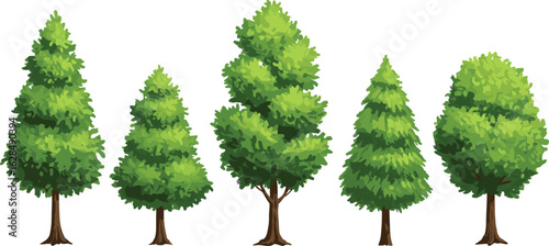 Green tree vector set, different forest tree illustrations, natural landscape elements, summer foliage collection, deciduous and evergreen trees clipart for design