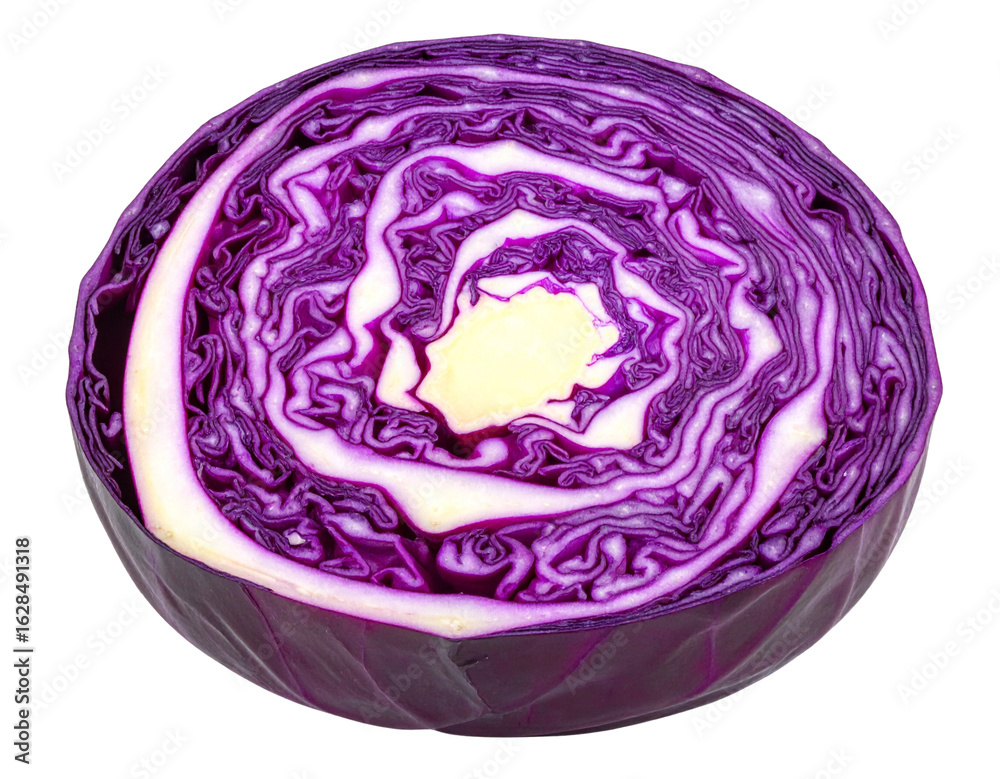 Obraz premium Stylized Purple Cabbage