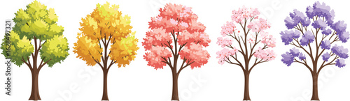 Colorful standing trees collection with open foliage, spring and autumn seasonal trees in flat vector style for park, garden, landscape, nature design