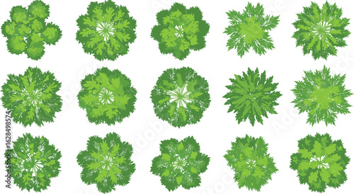 Top view green tree elements set, vector flat cartoon tree crowns, landscape foliage icons for map, garden, urban planning, or park design