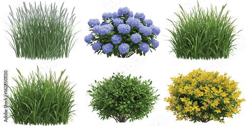 Cartoon garden bush and grass set, green plants and shrubs, flowering bushes, landscape element collection for summer nature and outdoor design
