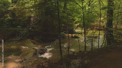 A captivating forest creek winds gently through moss-covered rocks and shaded undergrowth. The water’s surface reflects vibrant green tones from submerged algae and the surrounding vegetation, creatin