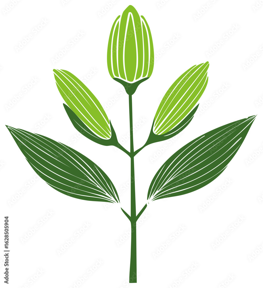 Obraz premium Abstract stylized green plant with buds and leaves graphic