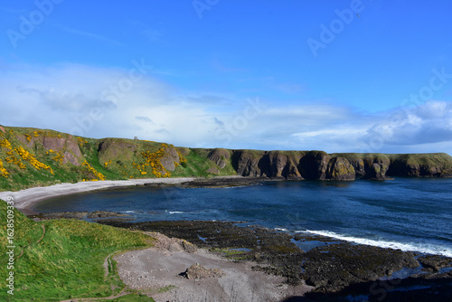 Seascape with a Bay and Towering Sea Cliffs