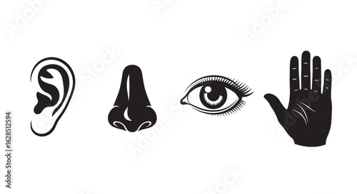 Collection of human sensory organs in a black silhouette style