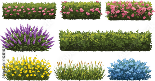 Flower hedge clipart, garden border shrubs, colorful bush vector, landscape plant set, decorative greenery illustrations, spring hedge collection, floral plant assets