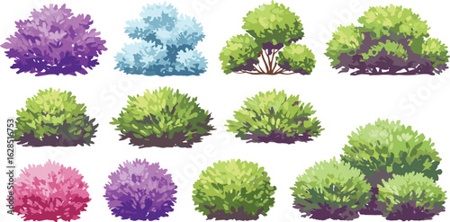 Colorful garden bushes set, green leafy shrubs vector, landscape foliage pack, nature plant elements, spring summer hedge, decorative ornamental greenery illustration