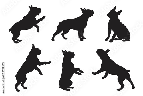 Collection of french bulldog silhouettes in various poses