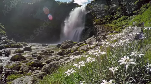 Mountain waterfall cascading over rocks, with wildflowers near a stream