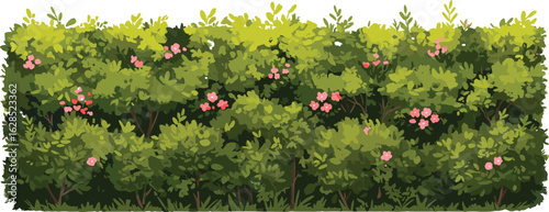 Dense green hedge with flowers, garden bush illustration, natural fence vector, floral shrub wall, leafy foliage clipart, landscape element, spring plant scene