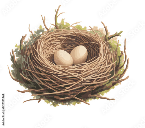 nest with eggs