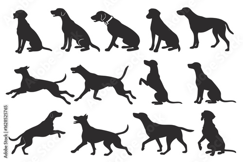 Collection of dog silhouettes in various poses and activities