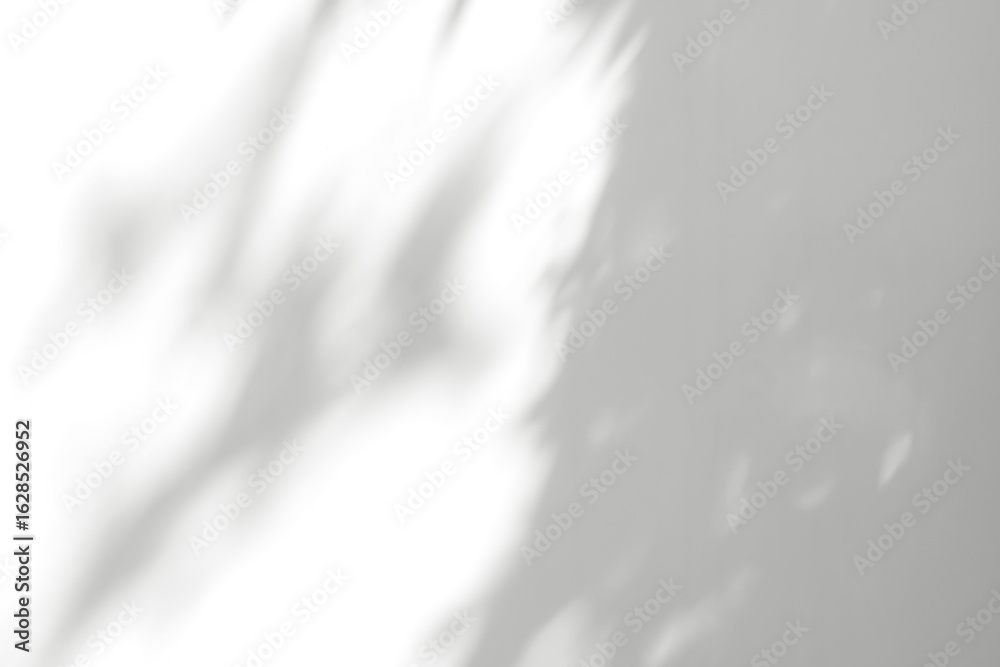 Naklejka premium Shadow leaves and light on white background,Soft fous of nature organic sunlight overlay on white plastic wall baclground